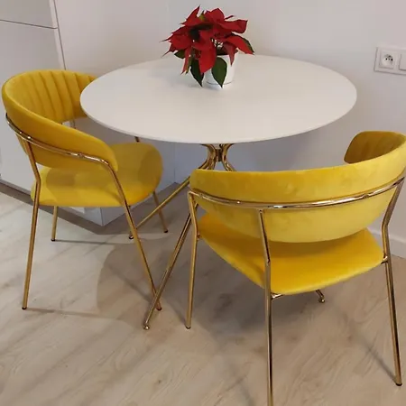 Modern Space Apartment Warsaw